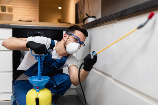 Best Best Pest Control Companies  in South Roxana, IL