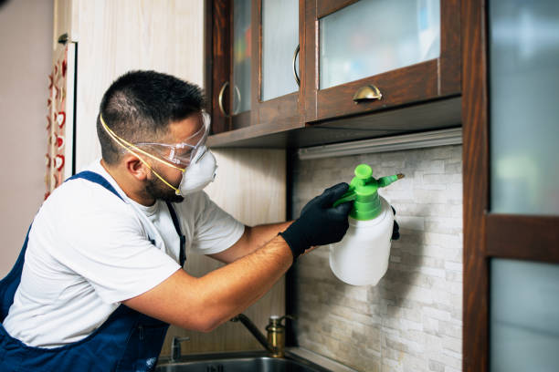 Best Mosquito Control Services  in South Roxana, IL