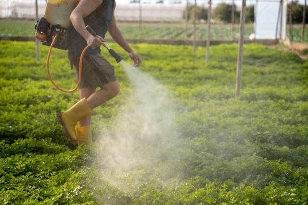 Best Wildlife Control Services  in South Roxana, IL