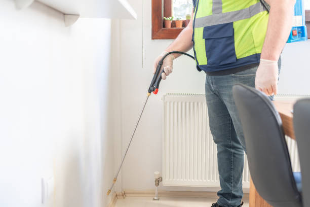 Trusted South Roxana, IL Pest Control Experts