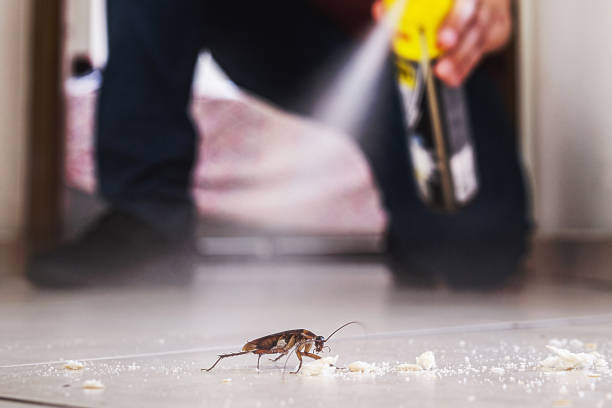 Best Bed Bug Extermination  in South Roxana, IL