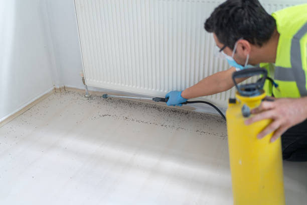 Best Local Pest Control Services  in South Roxana, IL
